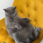 Ольга, фото