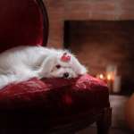 Наталья Герасимова, фото