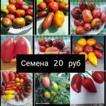 Продам излишки семян, в Омске