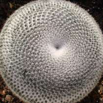 Veniamin, 56 лет, хочет познакомиться, в Москве