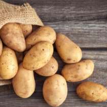 Продается картофель свежий урожай, в Перми