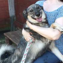 Ласковая, жизнерадостная позитивная Златочка ждет свою семью, в Москве