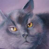 Напишу портрет вашего домашнего питомца по фото Кошечки соба, в Санкт-Петербурге