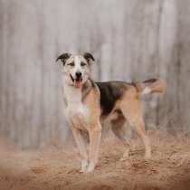 Молодой энергичный Майор ищет семью, в Москве