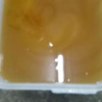 Реализую, Алтайский натуральный мёд!, в Москве