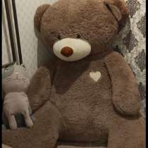 Плюшевый медведь, в Новокузнецке