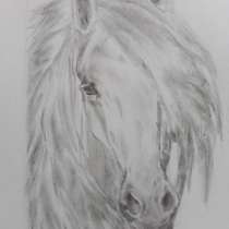 Портрет лошади, в Энгельсе