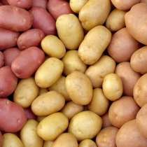 Продам крупный картофель!, в Сергиевом Посаде