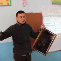 Обучение, бизнес курс "Пчеловодство", в г.Бишкек