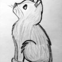 Сделаю рисунок вашего любимого питомца простым карандашом, в Москве