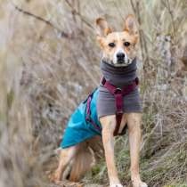 Лили ищет дом!, в Москве