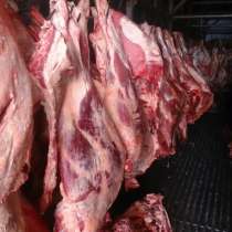 Мясо-говядина порода СИММЕНТАЛЬСКАЯ в полутушах, в Ханты-Мансийске