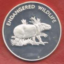 Малави 10 квач 2005 г Бегемот Вымирающие виды серебро покрыт, в Орле