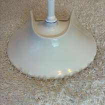 Раковина тюльпан, в Череповце