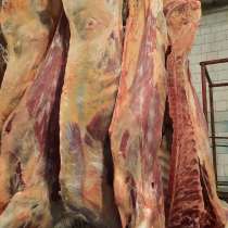 Мясо говядина, в Перми