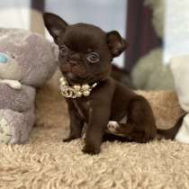 Шикарная мини шоколадная малышка, в г.Нюрнберг