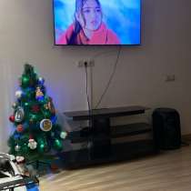 Елка, в Томске