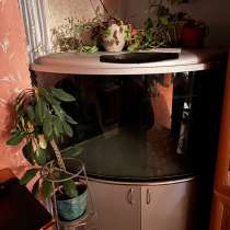 Аквариум 500 литров, в Челябинске