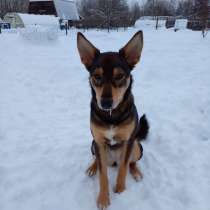 Девочка с умным выразительным взглядом Рита, в Москве