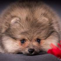 Ищу маму, в Санкт-Петербурге