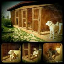 Передержка (зоогостиница) собак в Раменском р-не, в Москве