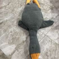 Гусь абнеиусь, в Ростове-на-Дону