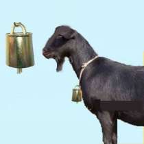 ✔ Колокольчик 2 шт. корова лошадь овцы козы колокол мелодия, в Астрахани