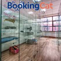 Гостиница для кошек BookingCat, в Санкт-Петербурге