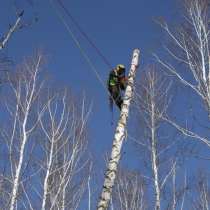 Спил, снос, обрезка деревьев, в Новосибирске