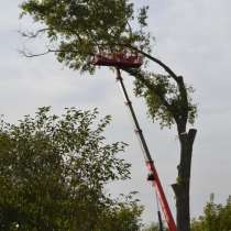 Удаление Опасных Аварийных Проблемных Деревьев, в Балашихе