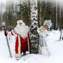 Дед Мороз и Снегурочка на дом, в Санкт-Петербурге