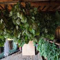 Веники для бани, в Перми