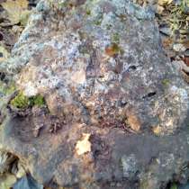 Метеорит, в Липецке
