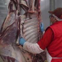 Продажа мяса оптом собственного производства, в Оренбурге