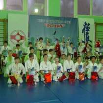 Профессиональная спортивная подготовка каратэ, в Кирово-Чепецке