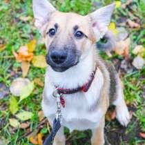 Спасение жизни, в Москве