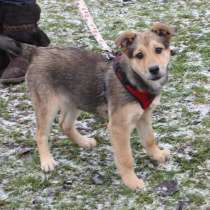 Малышка Нюша очень ждет своего родного ЧЕЛОВЕКА, в Москве