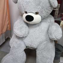 Большой мишка), в Волгограде