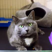 Нежная Дуся ждет путешествия домой, в Москве