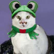 домашний клоун Яха, в Санкт-Петербурге