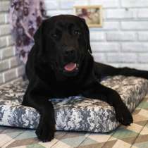 Лежак для собак крупных пород (Серый камуфляж), в Москве