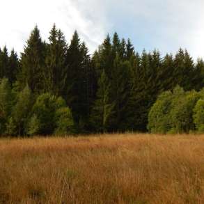 Участок 14 соток, ИЖС, коммуникации, лес, 8 км. от г. Смолен, в Москве