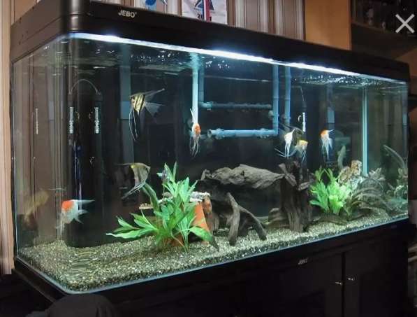 Изготовление аквариумов в 