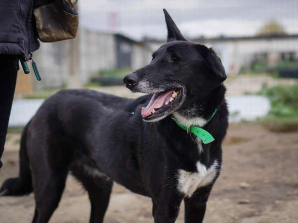 Уникальная Шерри в Москве фото 35