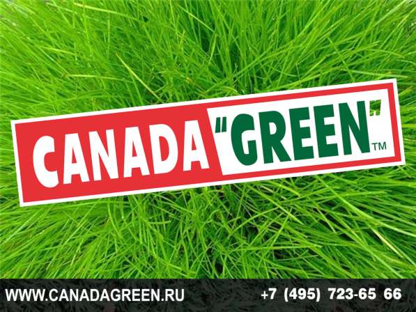 Газон КАНАДА ГРИН в Москве фото 5
