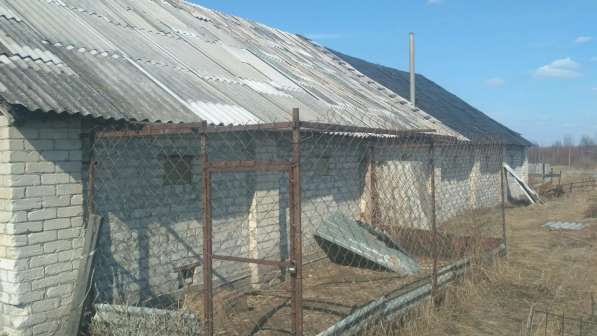 Продам дом для ведения личного подсобного хозяйства с фермой в Бору фото 4