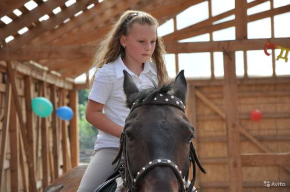 Детский конный лагерь в Подмосковье в Новогодние каникулы