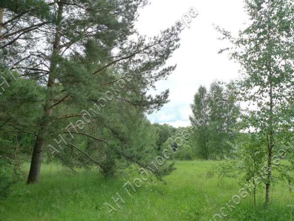 realty_mapper3.plot_in_locationИндивидуальное жилищное ст-во. Площадь 12.00 сот.Есть Электричество. в Москве фото 11