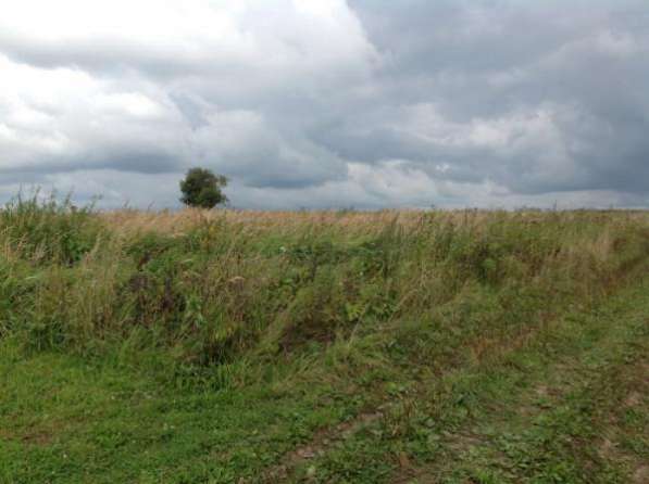 Продается земельный участок 12 соток в д. Шваново, Можайский р-н, 140 км от МКАД по Минскому, Можайскому шоссе. в Можайске фото 5