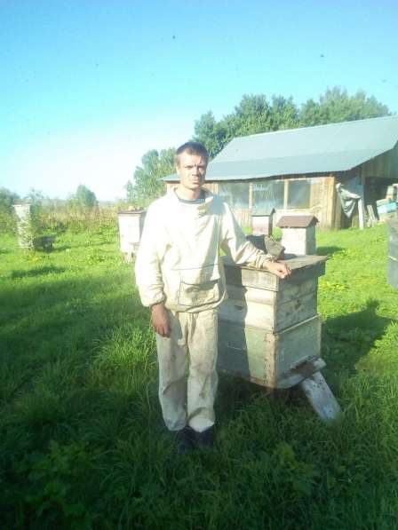 Продам пчёлопакеты в Барнауле